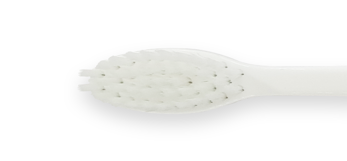 nitens 칫솔모 상세 이미지