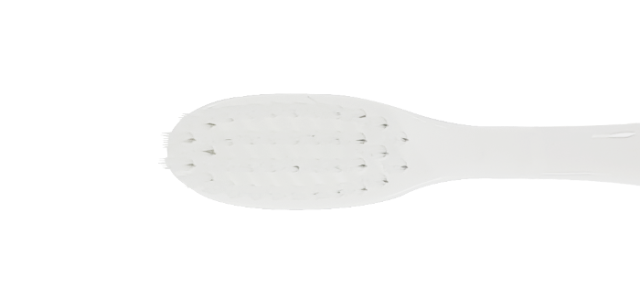 nitens 칫솔모 상세 이미지