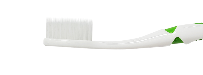 nitens 칫솔모 기본 이미지