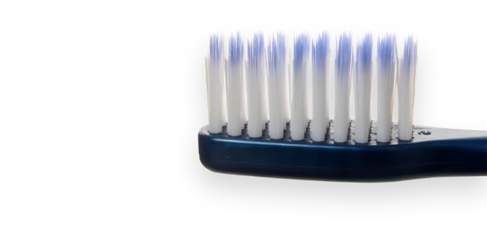 nitens 칫솔모 상세 이미지