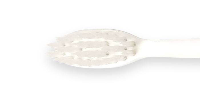 nitens 칫솔모 상세 이미지