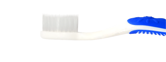 nitens 칫솔모 기본 이미지